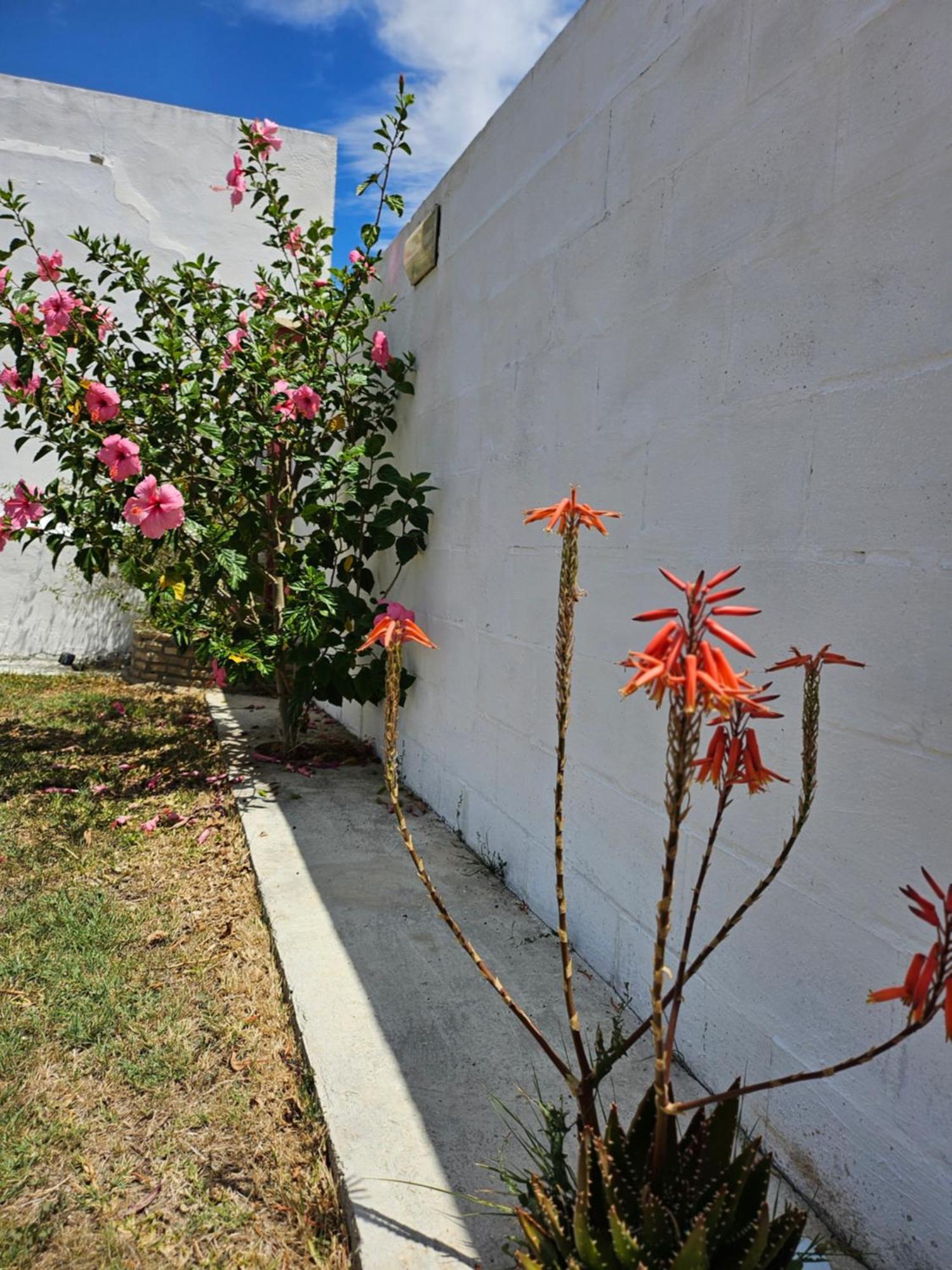 Villa Nonina 치클라나 데 라 프론테라 외부 사진